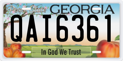 GA license plate QAI6361