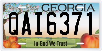 GA license plate QAI6371