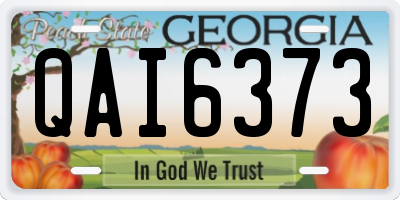 GA license plate QAI6373