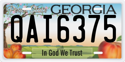 GA license plate QAI6375