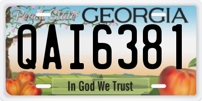 GA license plate QAI6381