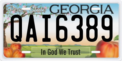 GA license plate QAI6389