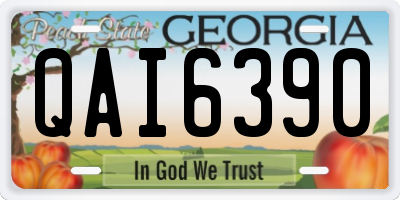 GA license plate QAI6390