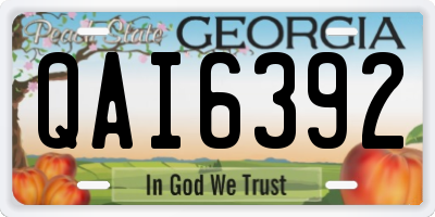 GA license plate QAI6392
