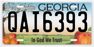 GA license plate QAI6393
