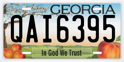 GA license plate QAI6395