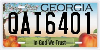 GA license plate QAI6401