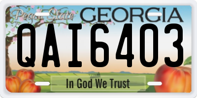 GA license plate QAI6403