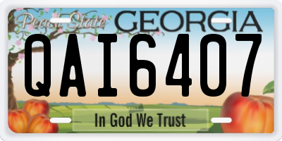 GA license plate QAI6407