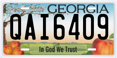 GA license plate QAI6409