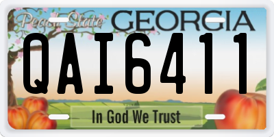 GA license plate QAI6411