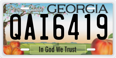GA license plate QAI6419