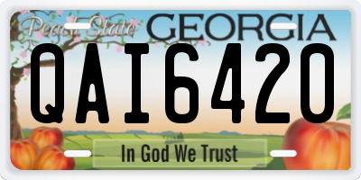 GA license plate QAI6420