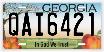 GA license plate QAI6421