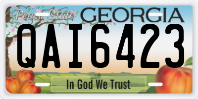 GA license plate QAI6423