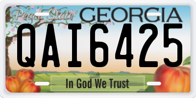 GA license plate QAI6425