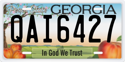 GA license plate QAI6427