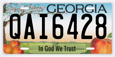 GA license plate QAI6428