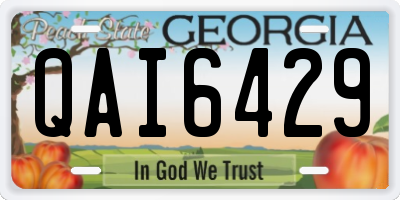 GA license plate QAI6429