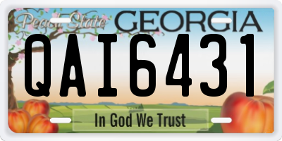 GA license plate QAI6431