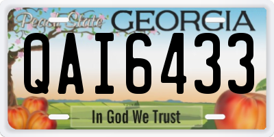 GA license plate QAI6433