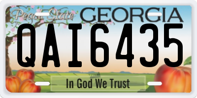 GA license plate QAI6435