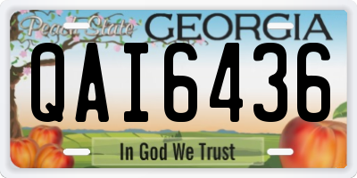 GA license plate QAI6436