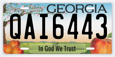 GA license plate QAI6443