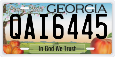 GA license plate QAI6445