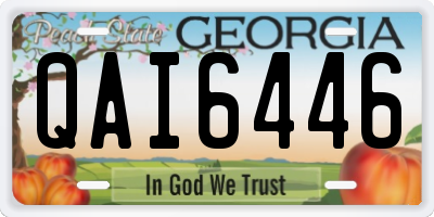 GA license plate QAI6446