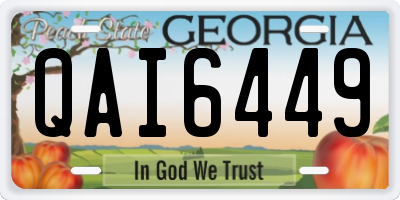 GA license plate QAI6449
