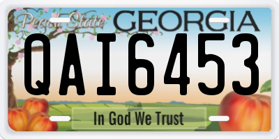 GA license plate QAI6453