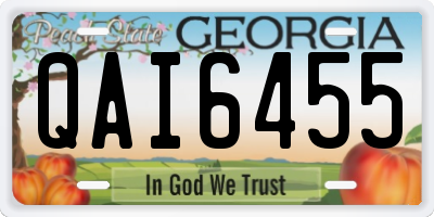 GA license plate QAI6455