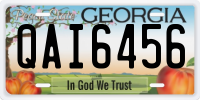 GA license plate QAI6456