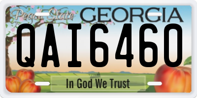 GA license plate QAI6460