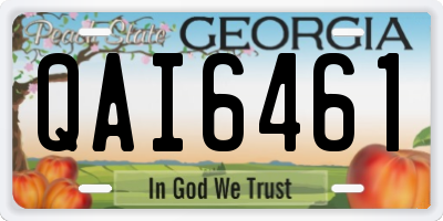 GA license plate QAI6461