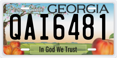 GA license plate QAI6481