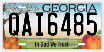 GA license plate QAI6485