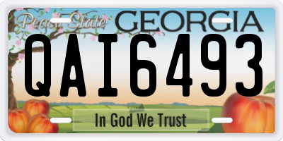 GA license plate QAI6493