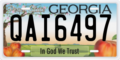 GA license plate QAI6497
