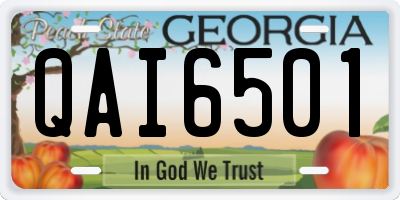 GA license plate QAI6501