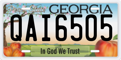 GA license plate QAI6505