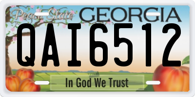 GA license plate QAI6512