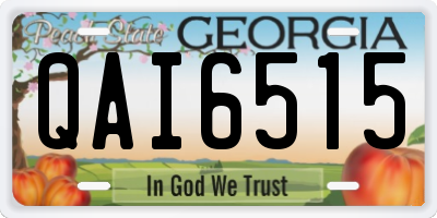 GA license plate QAI6515