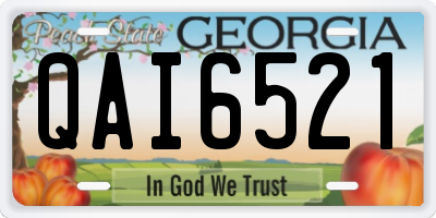 GA license plate QAI6521
