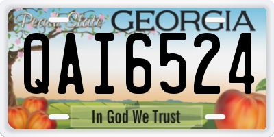 GA license plate QAI6524