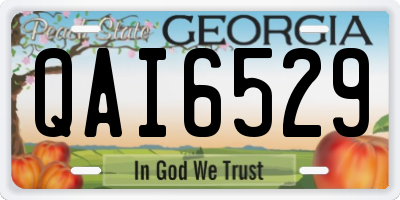 GA license plate QAI6529