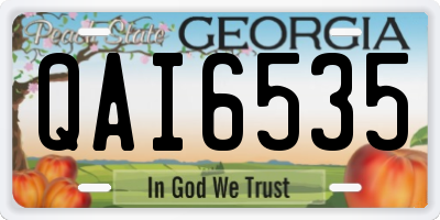 GA license plate QAI6535