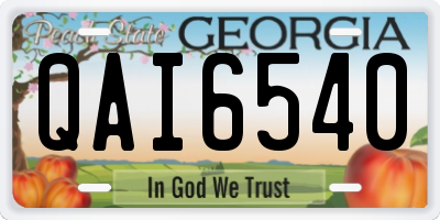GA license plate QAI6540