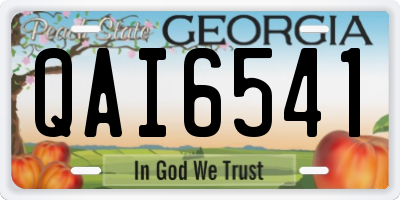 GA license plate QAI6541